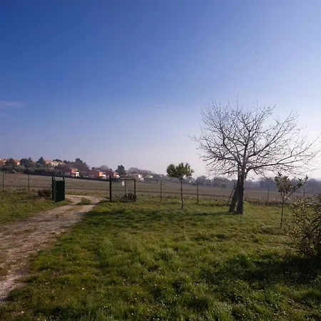 S210 - Sirolo, Nuovissimo Bilocale Vista Mare Al Primo Piano *